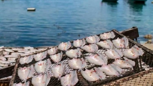 Thêu logo theo yêu cầu